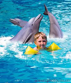 Дельфинотерапия, Аутизм Дельфинотерапия, Дельфин терапиясы